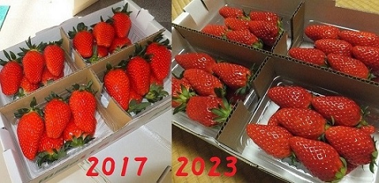 片浜ベリーさんと予約ができた♡ 片浜ベリーさんと予約ができた♡
