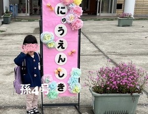 孫4号 孫4号