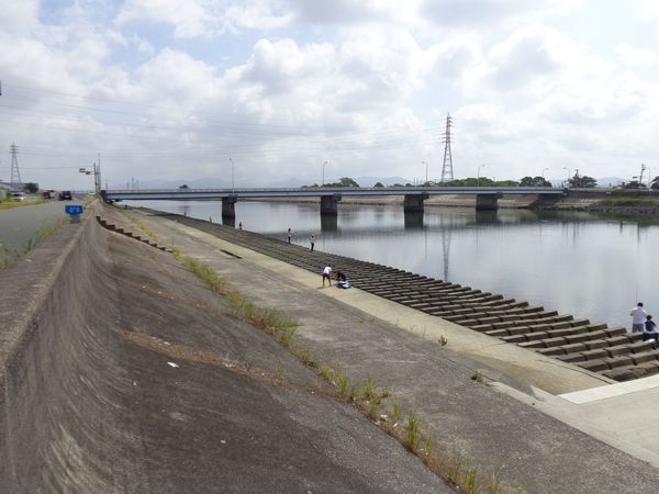 豊川最下流でハゼ釣り