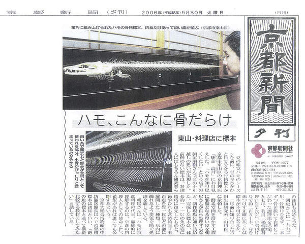 鱧ぼちぼち始めてます 鱧ぼちぼち始めてます