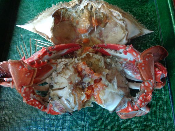 ワタリガニの季節です ワタリガニの季節です