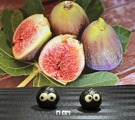 あいちのいちじくの日 あいちのいちじくの日