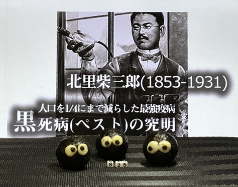 北里柴三郎ペスト菌の論文掲載日 北里柴三郎ペスト菌の論文掲載日