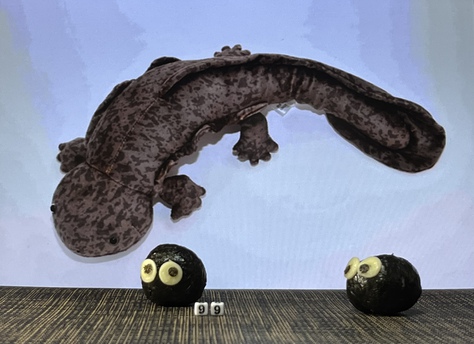オオサンショウウオの日 オオサンショウウオの日