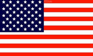 海外赴任と真空米