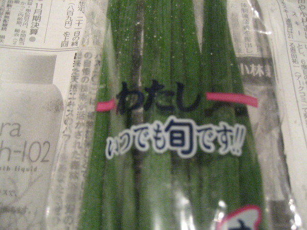 おしゃれねぎ