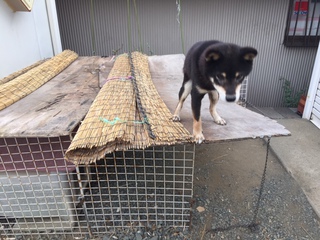 コロナ禍の退屈な日々から逃走・・ コロナ禍の退屈な日々から逃走・・