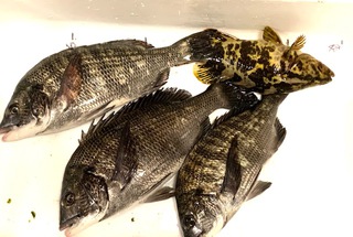 義弟の釣果 義弟の釣果