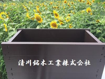 今日はたんぽぽさんのボーリング大会！