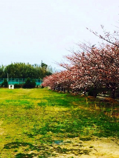 静岡県立三ヶ日高等学校