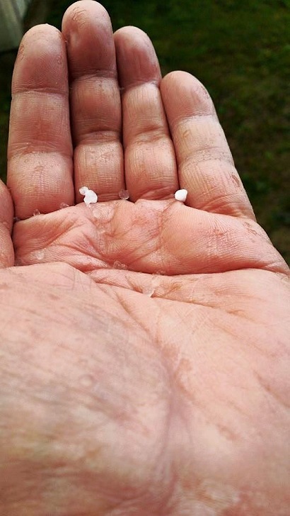 雹が降っちゃいましたね。