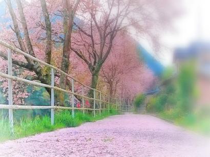 山のレストランさかた
