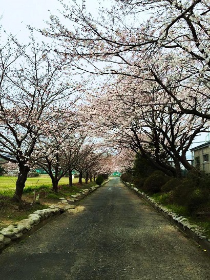 静岡県立三ヶ日高等学校