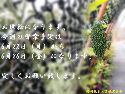 ゴウヤ