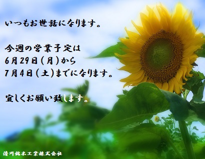 ひまわり