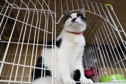 カウンターの仕上げも色々です! カウンターの仕上げも色々です!