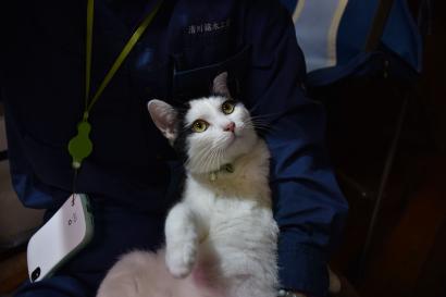 ビリー ビリー