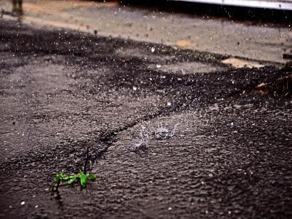 アスファルトの上に落ちる雨水