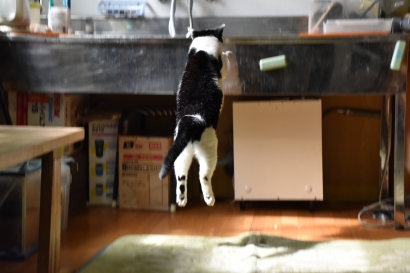 のりちゃん のりちゃん