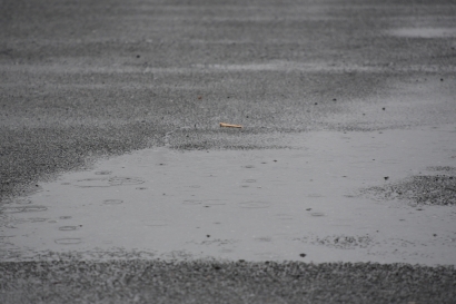 雨 雨