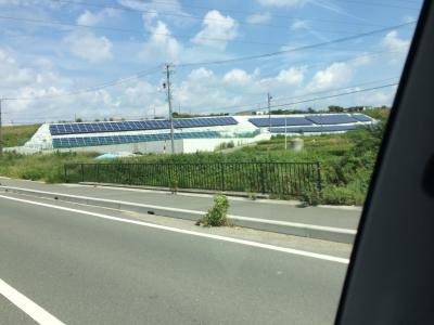 杉のLVLという材料！