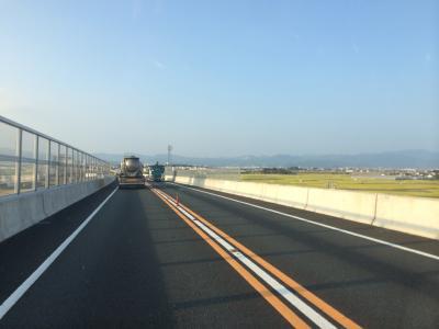 夏が戻ってきました！