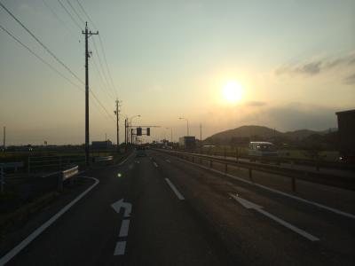 夏が戻ってきました！