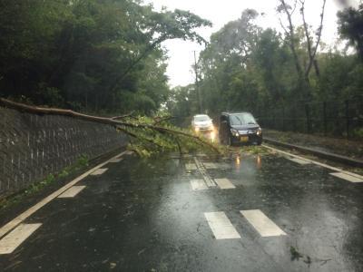 台風18号の爪痕！