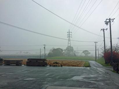 霧