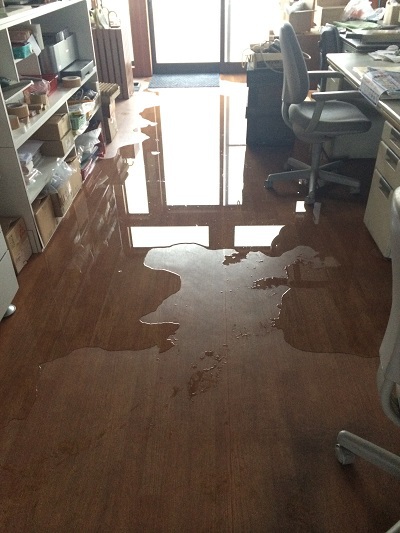 台風18号の爪痕！