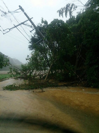 台風18号の爪痕！
