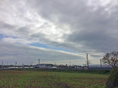 清川銘木工業株式会社 清川銘木工業株式会社