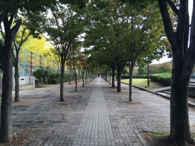 今日も残業してます。