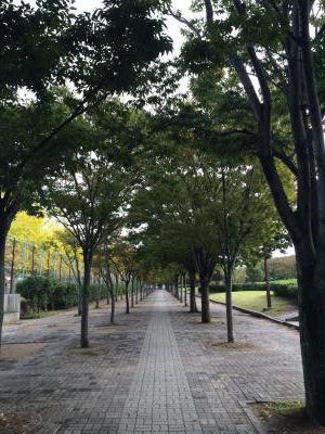 今日も残業してます。