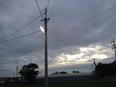 ナイトワーク