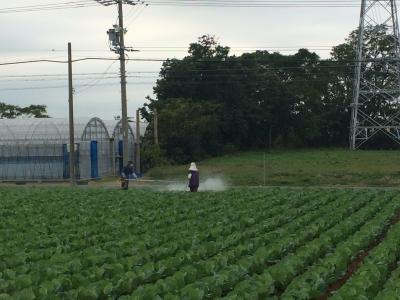 今日も残業です。