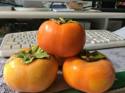 今日も残業です。