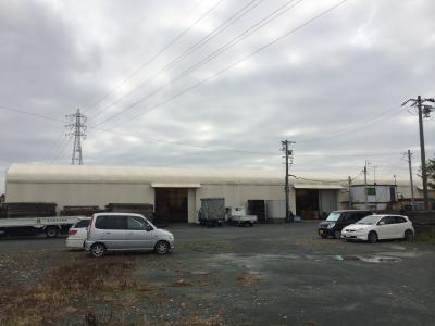 今日は日曜出勤です。