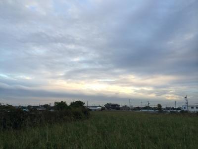 明日は雨予報ですね