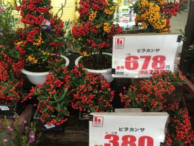 納期に目処がつきました