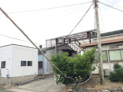 電線が落ちてきた！