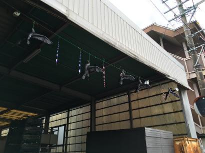 ハト除けグッズ