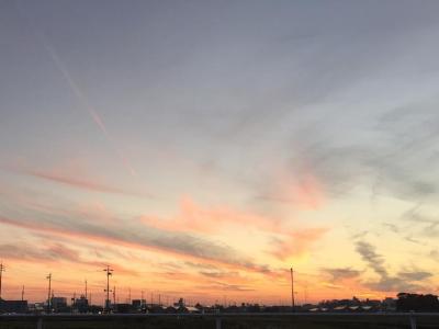 また、夕日が綺麗でしたね