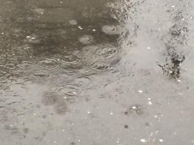 午後から雨模様！