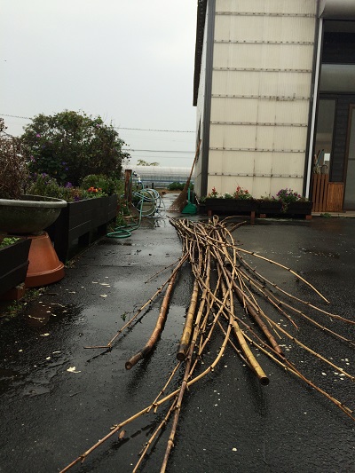 最近昼に豪雨が！