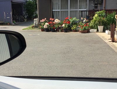 ＥＭＧ様からのお便りが♪