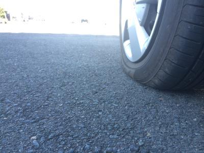 今日はもしかして初霜？！