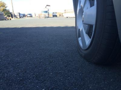 今日はもしかして初霜？！