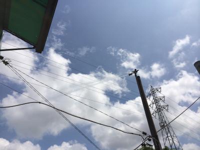 かんかんに晴れた40％！