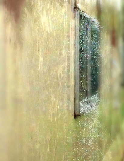 雨